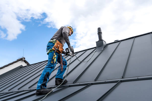 Roof Moss and Algae Removal in Laguna Beach, CA